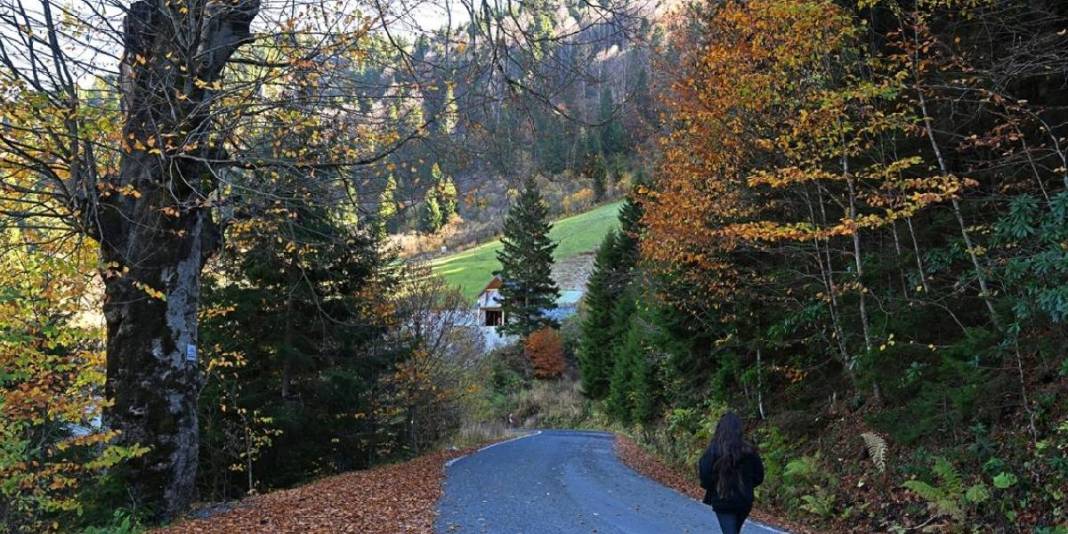 Zigana Dağı eteklerinde eşsiz bir adres! Doğa tutkunları buraya akın ediyor: Unutulmaz anlara hazır olun! 3